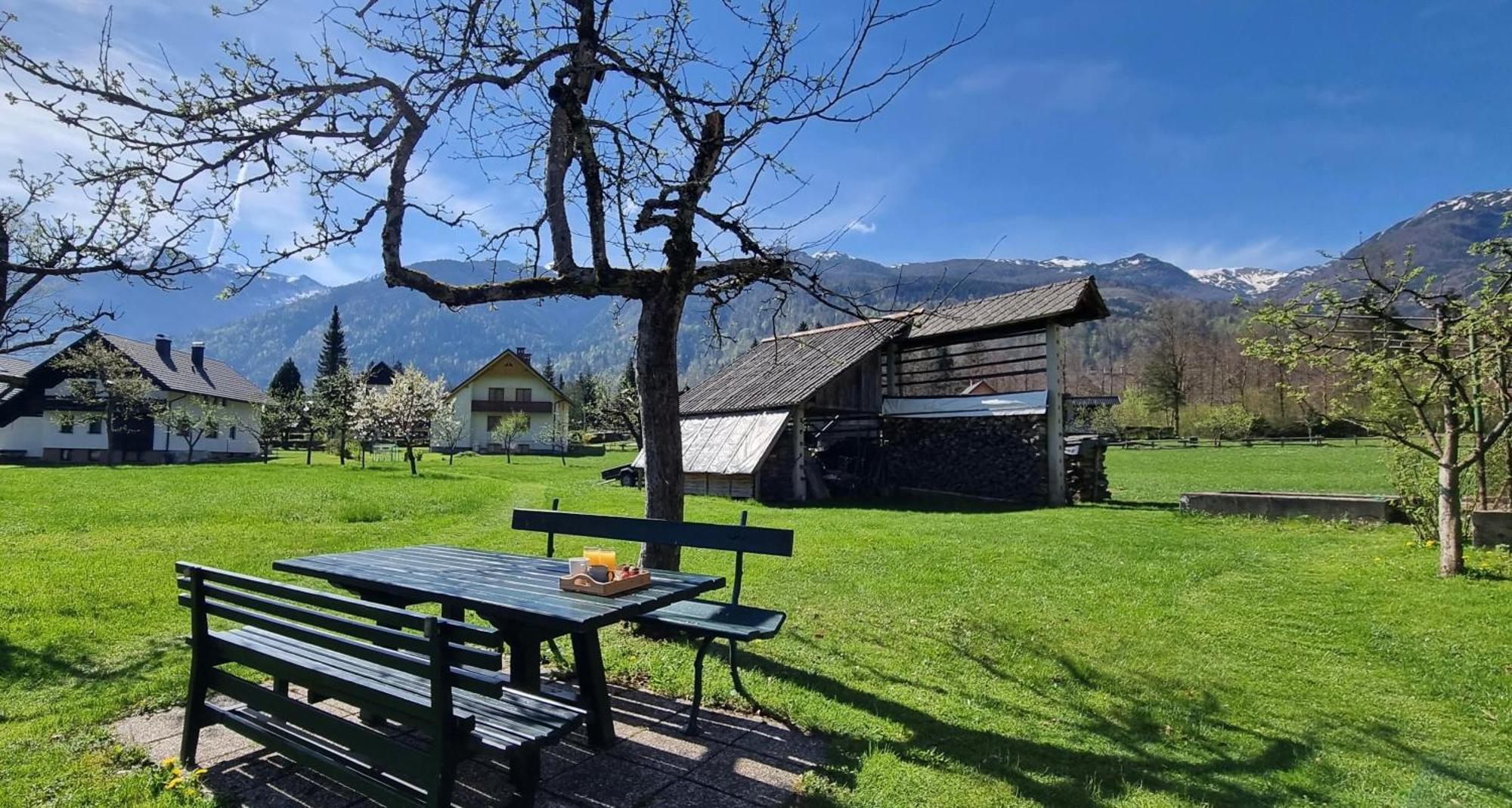 Apartments Skantar Bohinj Dış mekan fotoğraf